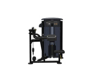 Load image into Gallery viewer, Impulse Lateral Raise 200lb Stack