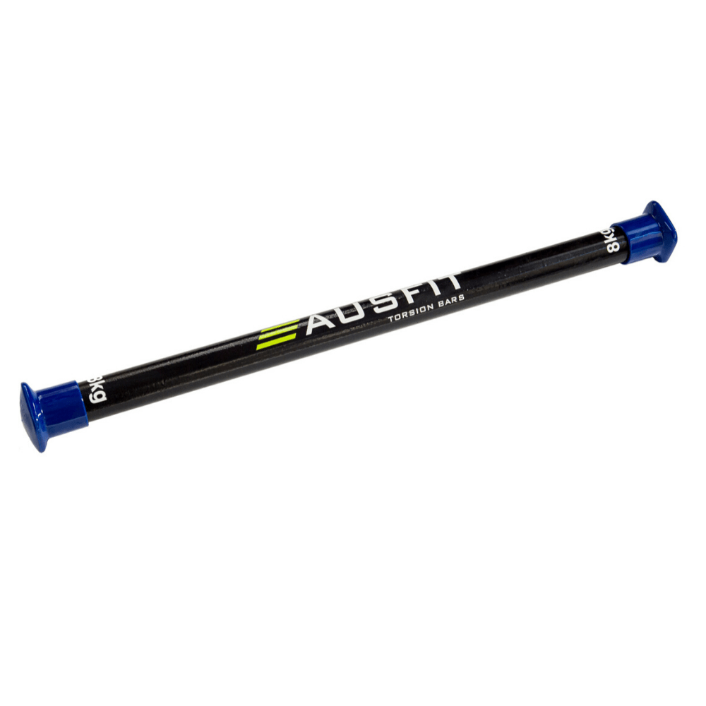 Torsion bar gym 2025