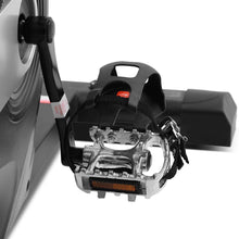 Load image into Gallery viewer, Lifespan Fitness SM-100 Magnetic Spin Bike