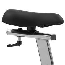 Load image into Gallery viewer, Lifespan Fitness SM-100 Magnetic Spin Bike