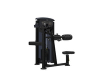 Load image into Gallery viewer, Impulse Lateral Raise 200lb Stack
